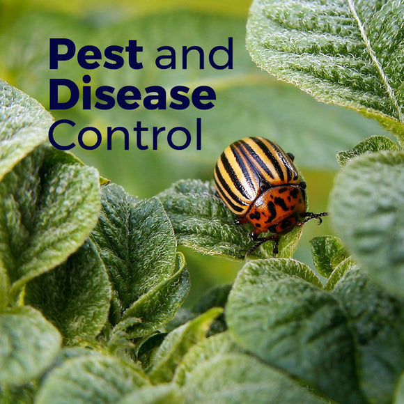 Pest and Disease Control